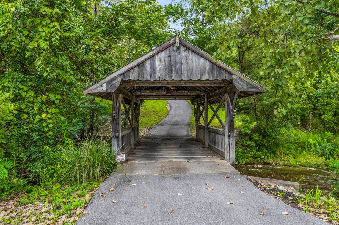 Bridge on the property