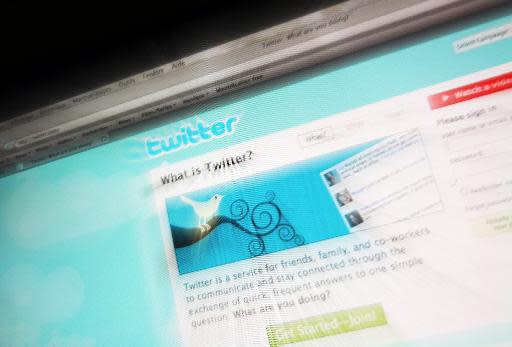 La web de Twitter (AFP/Archivos | Loic Venance)