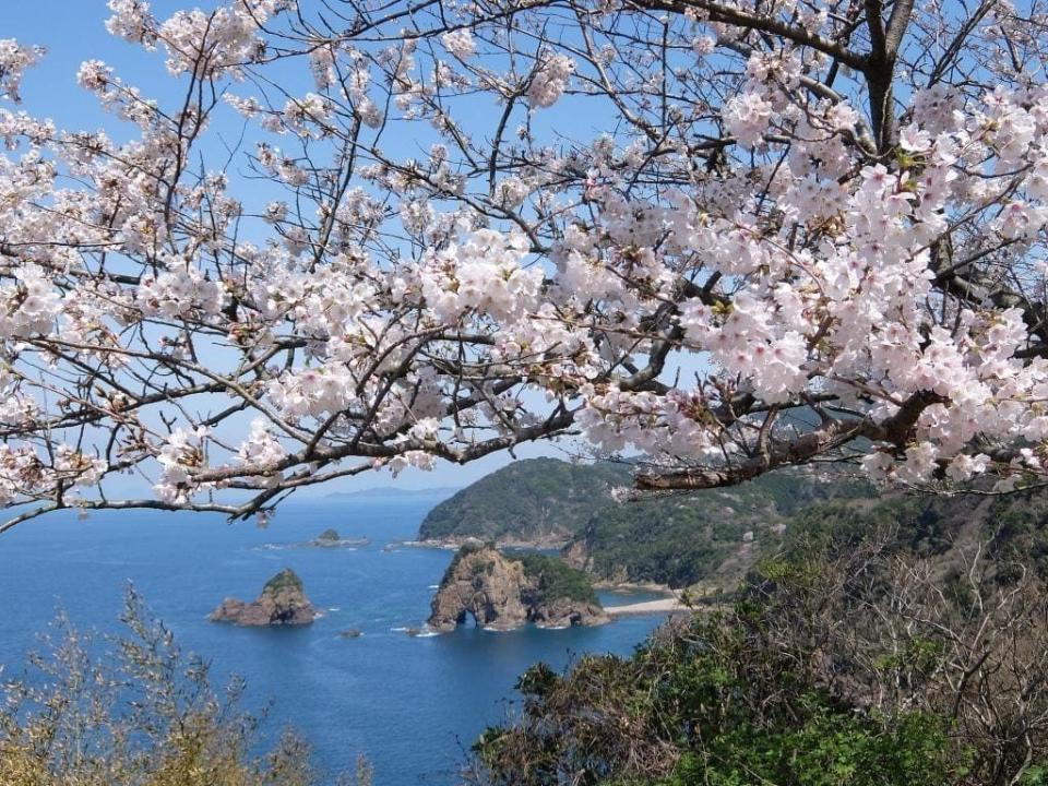 奇特岩石－妙見浦大象岩石。圖片來源｜天草寶島觀光協會