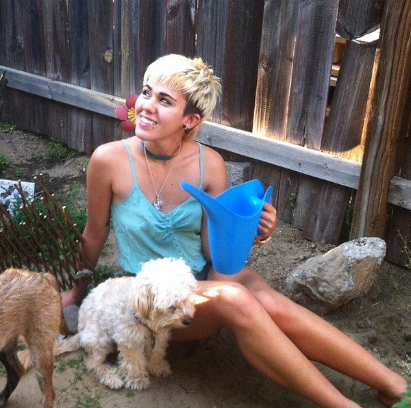 This Miley Cyrus doppelgänger will make you do a double take