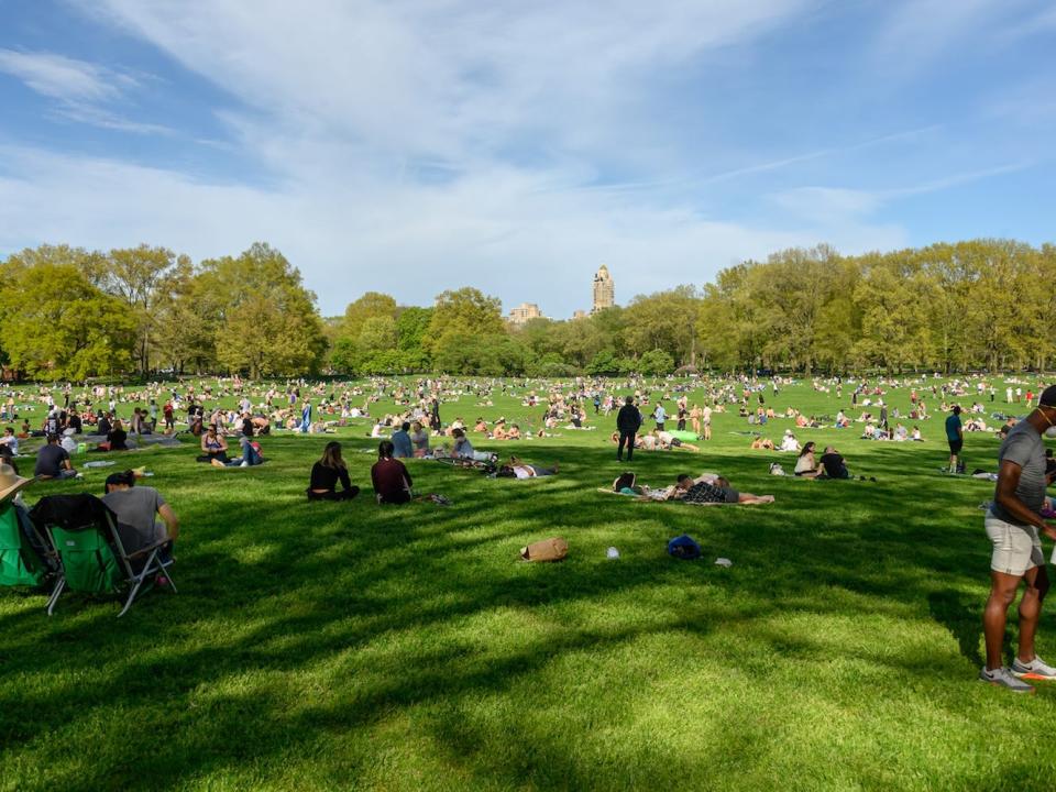 People on the grass in Sheep Meadow in Central Park on a sunny day.