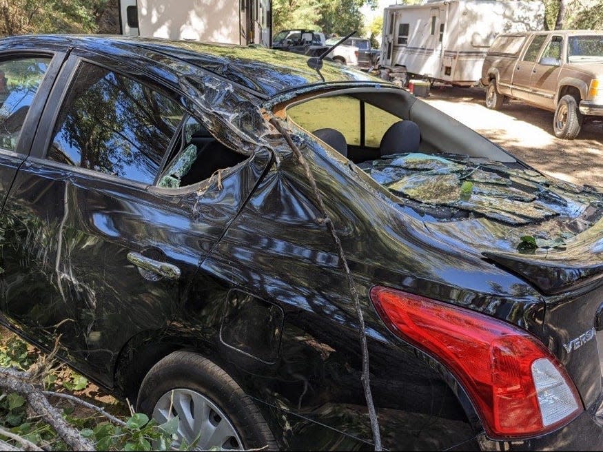 A tree branch fell on one of Ruvalcaba and Diaz's cars while it was rented.