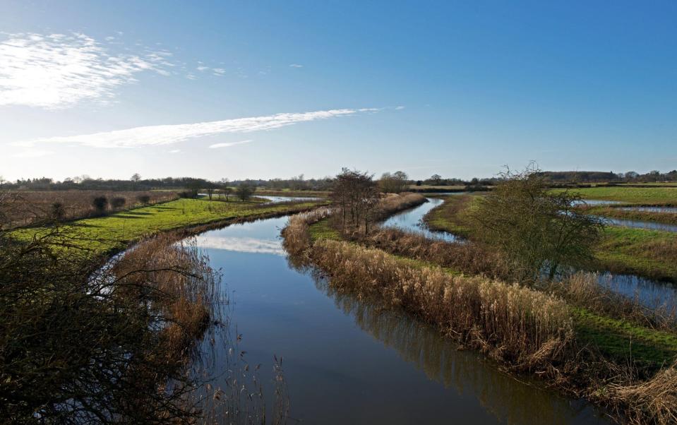 River Derwent - John Morrison /Alamy