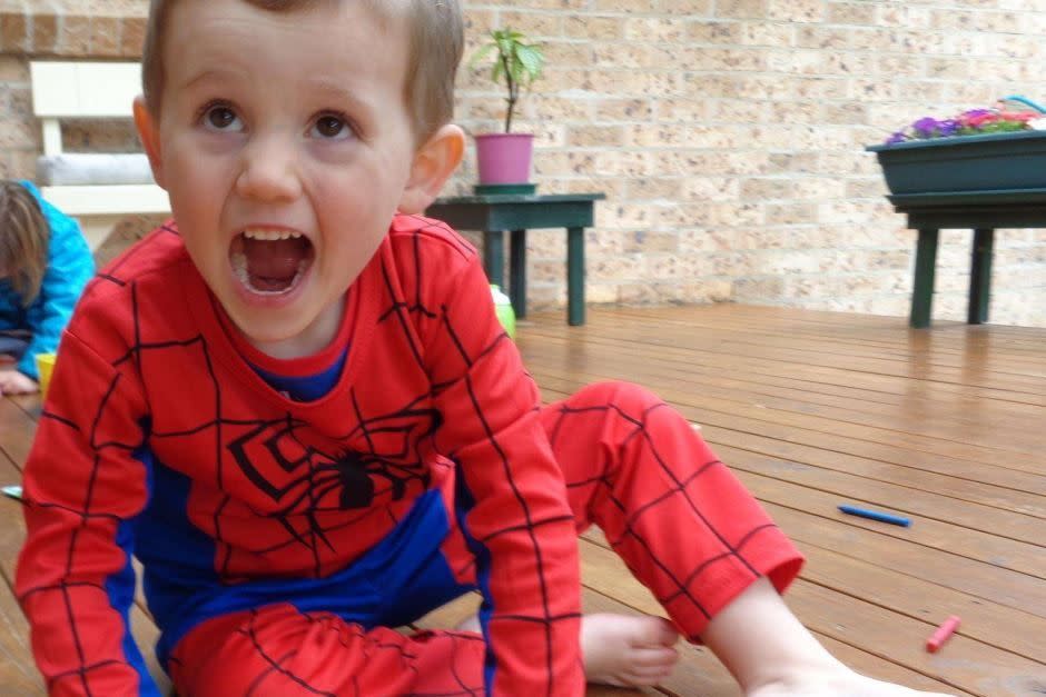 William Tyrrell disappeared from his grandmother Kendall home, located near Port Macquarie, on September 12, 2014. Photo: Supplied