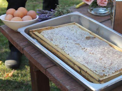 The natural honey from the beehives. PHOTO: Alexandra Meyer