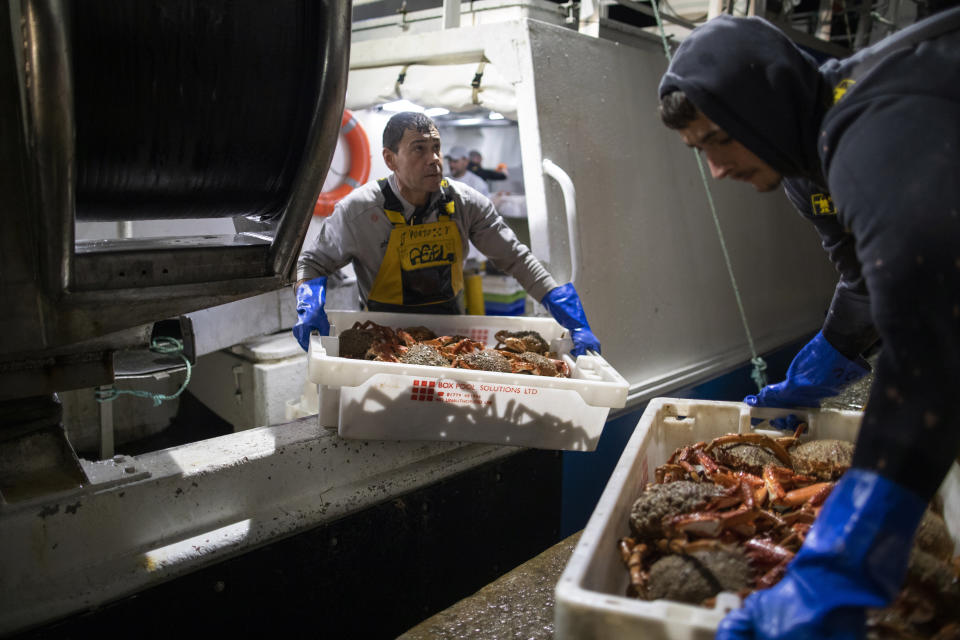 French fishermen empty their boat after a blockade at the port of Saint-Malo, western France, Friday, Nov. 26, 2021. French fishing crews are threatening to block French ports and traffic under the English Channel on Friday to disrupt the flow of goods to the U.K., in a dispute over post-Brexit fishing licenses. (AP Photo/Jeremias Gonzalez)