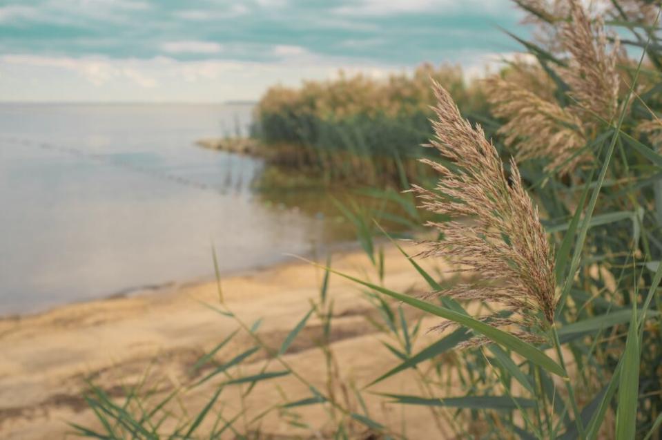 river coastline