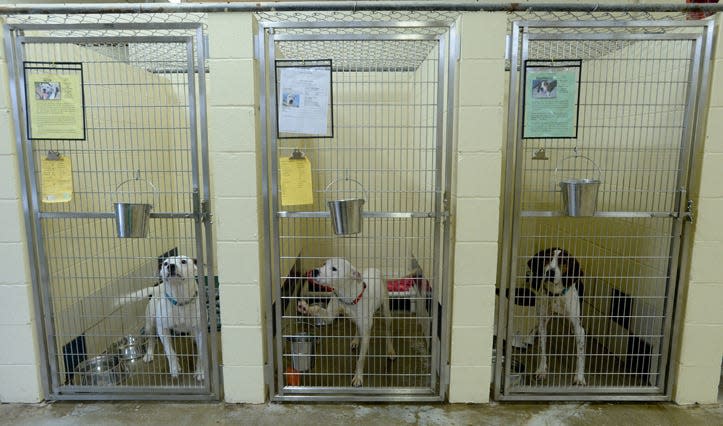 HELP the Animals, Inc. received a $10,000 grant from the Wayne County Foundation to install a new cooling system in its main kennel room.