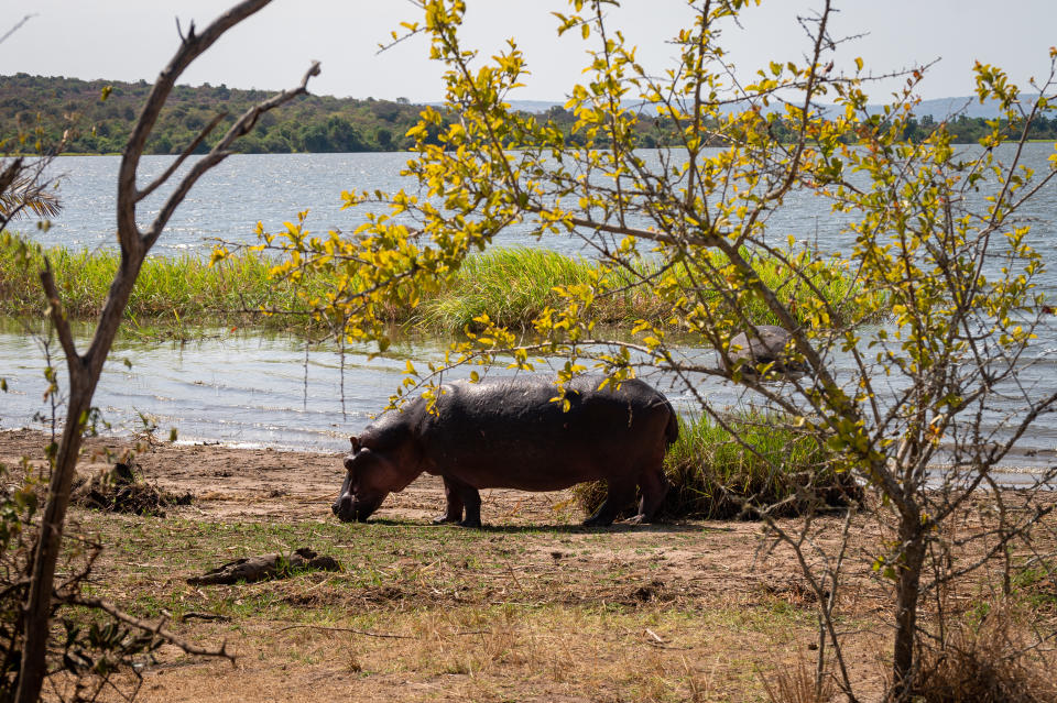 Hippopotamuses and crocodiles thrive in the 10 lakes in the park. (Photo: Bryan Kow)