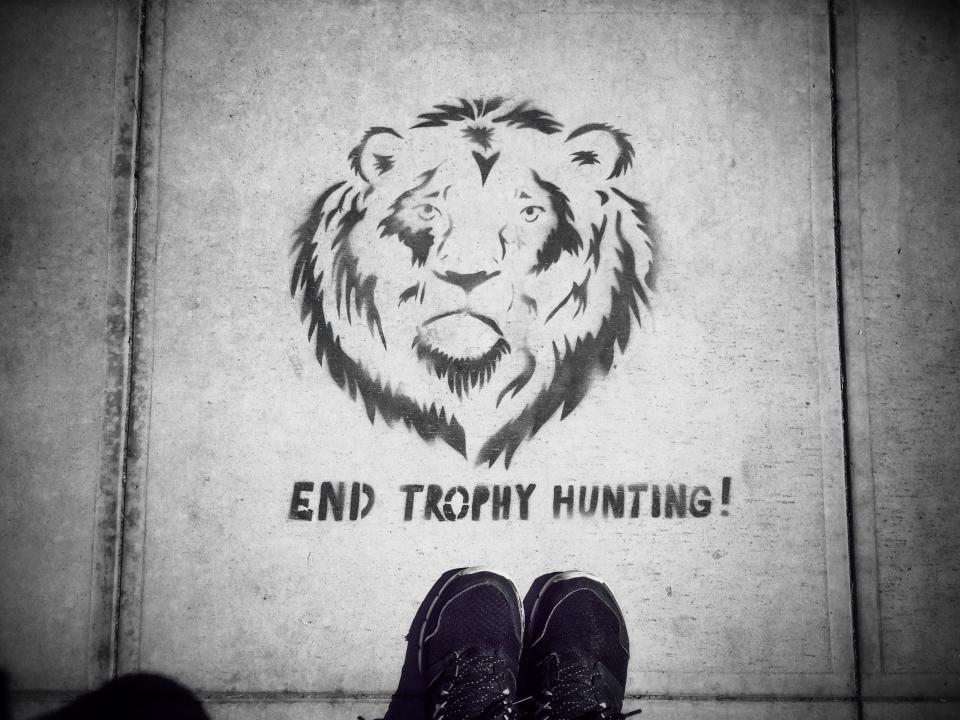 An anti-trophy hunting image on the sidewalk in Santa Barbara, California. (Photo: Lisa Werner via Getty Images)