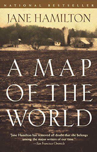 31) <i>A Map of the World,</i> by Jane Hamilton