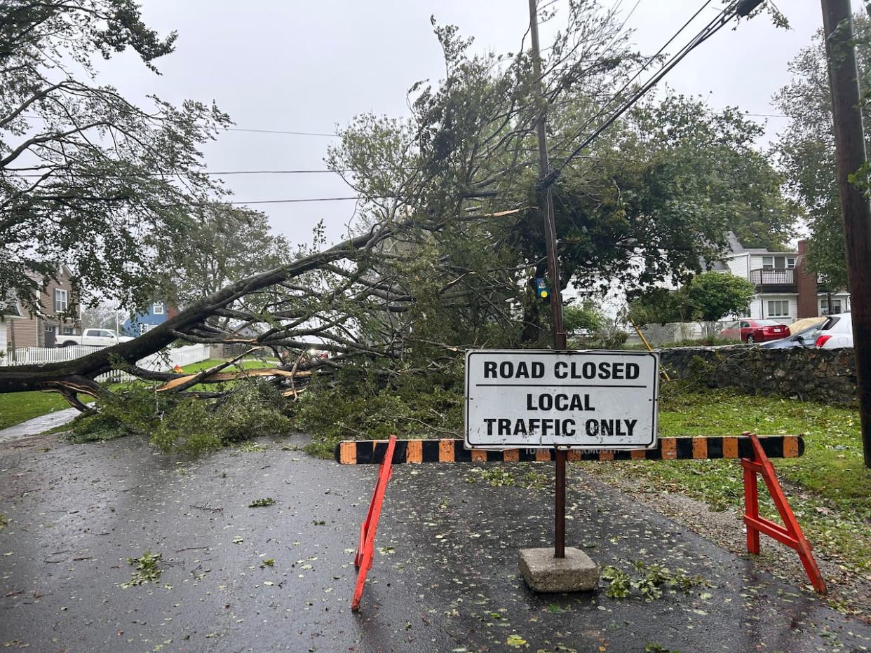 Despite some issues with telecommunications networks in the province during last weekend’s storm, there appears to have been much less of an impact compared to post-tropical storm Fiona last year. (Héloïse Rodriguez-Qizilbash/Radio-Canada - image credit)