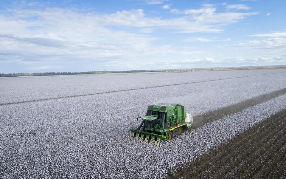 The Australian Consumer and Competition Commission fears a merger would lessen competition for so-called cotton ginning services - where machines are used to separate cotton fibres from their seeds