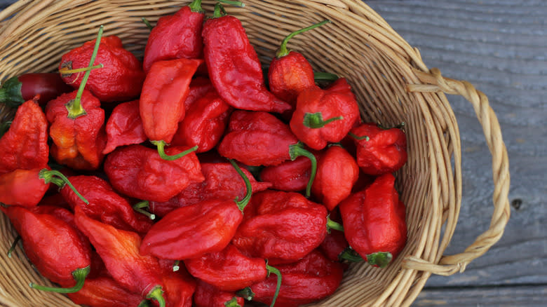 basket of ghost peppers