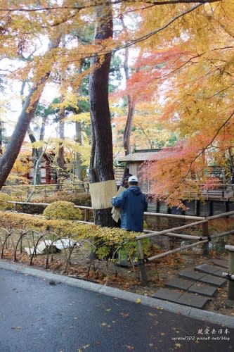 【右上就愛日本旅遊】【日本東北-岩手】東北賞楓疾行（D8-3）中尊寺金色