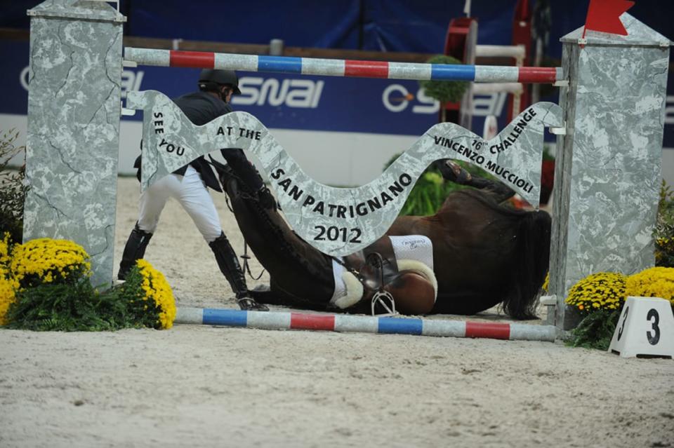 Hickstead, ridden by Eric Lamaze, after a fatal fall during Jumping Verona 2011.