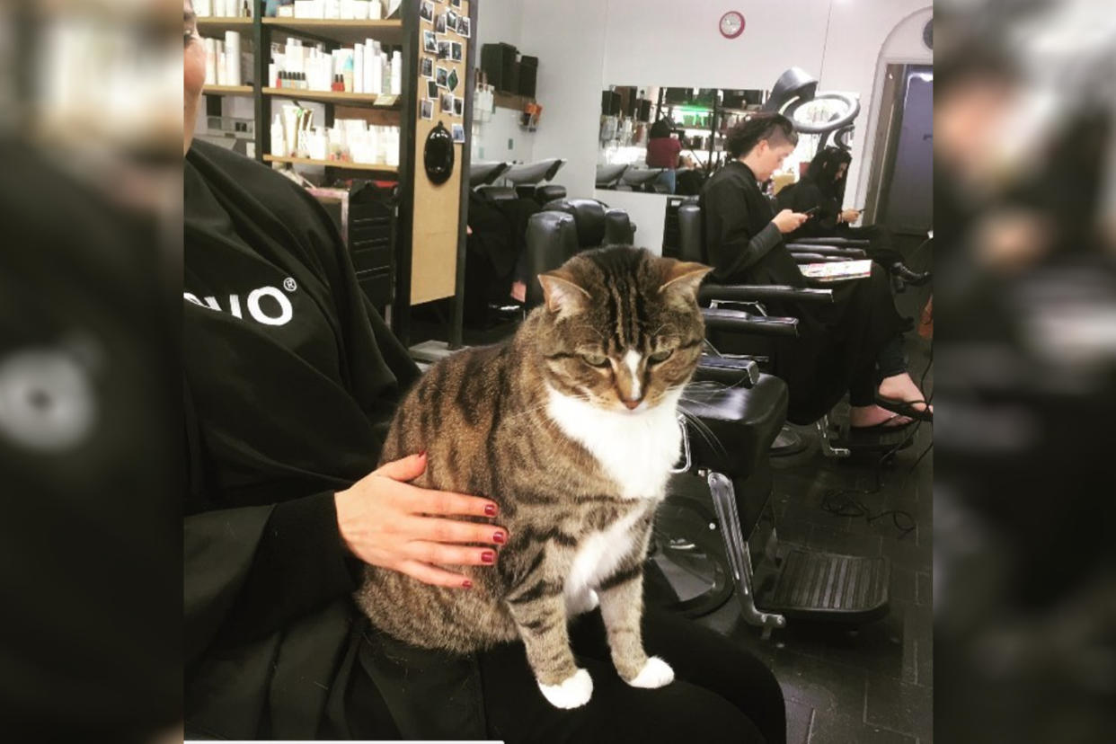 (Photo: Instagram/bettyboo_thesaloncat)