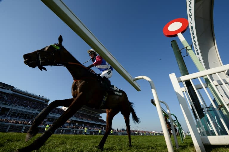 Jockey Derek Fox rides One for Arthur to win the Grand National horse race on the final day of the Grand National Festival horse race meeting at Aintree Racecourse in Liverpool, northern England on April 8, 2017