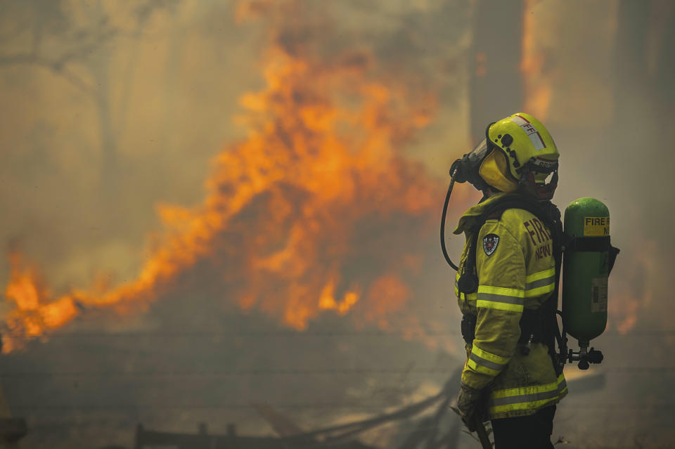 Firefighter Adam Brown from FRNSW protects properties along Glenthorne Rd in South Taree from an out of control bushfire.