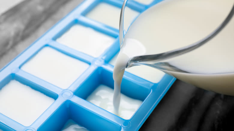 Person pouring milk into ice tray