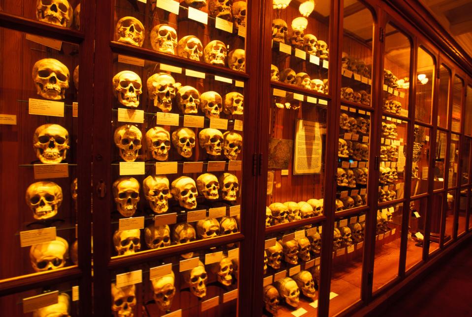 Mütter Museum of the College of Physicians of Philadelphia