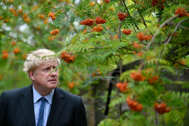 Prime minister Boris Johnson (Photo: via Associated Press)