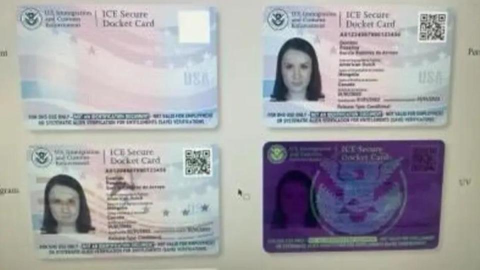 ICE強調移民身分證並非聯邦官方的身分證明。（圖／翻攝自福斯新聞）