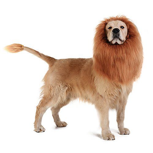 Lion Mane Dog Costume