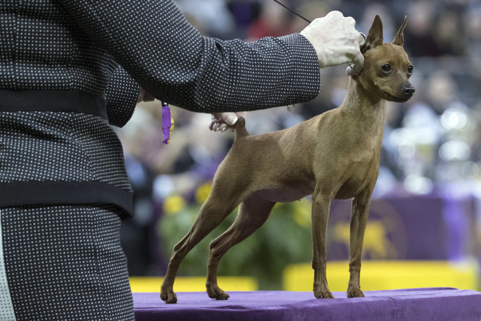 (AP Photo/Mary Altaffer)