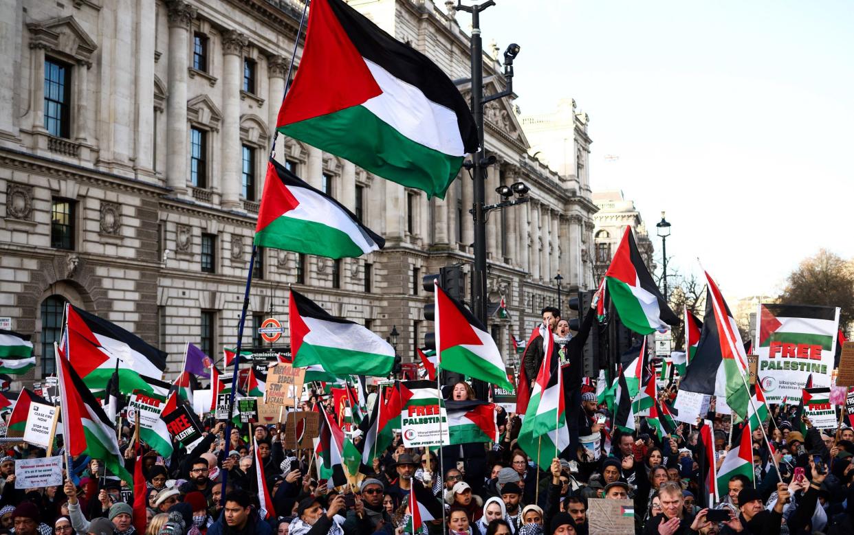 Protesters at a pro-Palestinian demonstration in central London in December