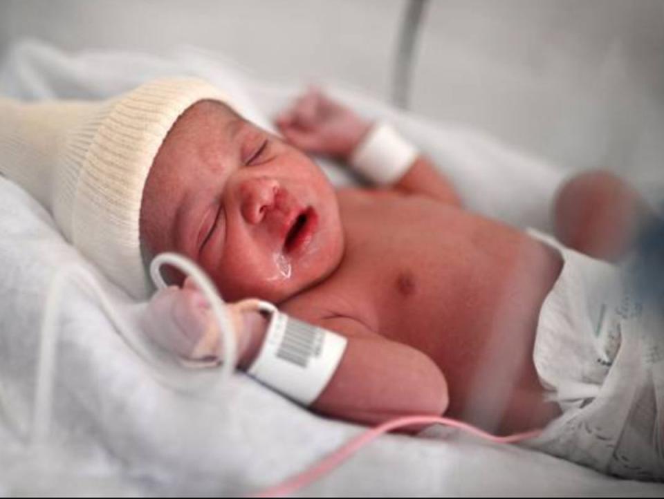 A new-born baby lies in an incubator (stock image) (AFP via Getty Images)