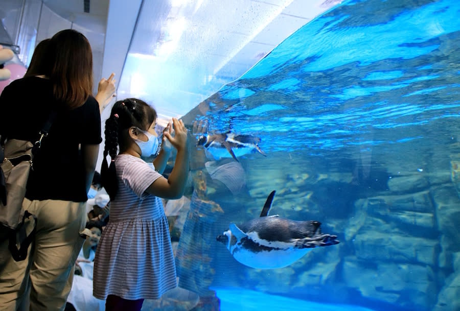 桃園水族館 Xpark 八景島水族館