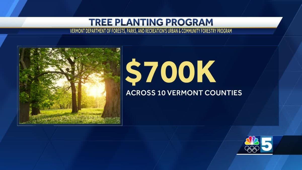 New Grant Funding To Lead To Thousands Of Trees Being Planted In Vermont 