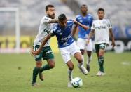 Brasileiro Championship - Cruzeiro v Palmeiras