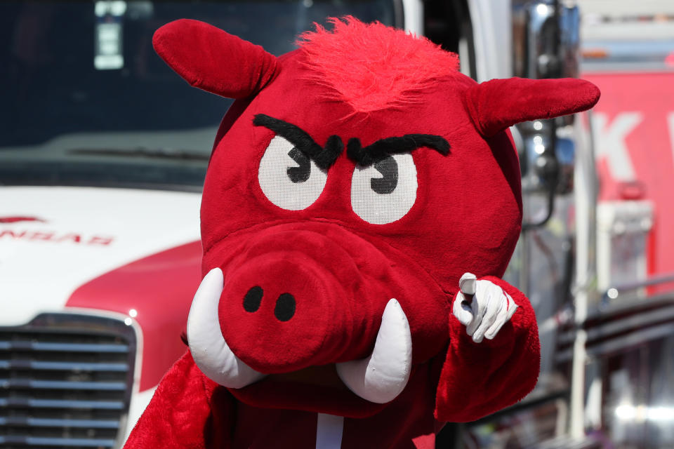 Nov 5, 2022; Fayetteville, Arkansas, USA; Arkansas Razorbacks mascot during the Razorbacks walk prior to the game against the Liberty Flames at Donald W. Reynolds Razorback Stadium. Mandatory Credit: Nelson Chenault-USA TODAY Sports