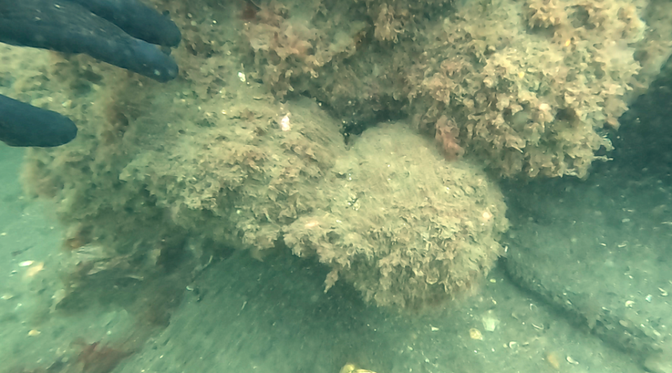 Round projectiles found aboard the ship. / Credit: Spanish Federation of Underwater Activities