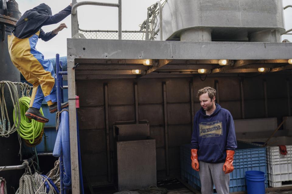 Sam Stern, right, a deckhand on the Big Blue, watches as cannery crewmen unload salmon from the ship's storage area, Sunday, June 25, 2023, in Kodiak, Alaska. Salmon tendering, using a boat to supply other boats and offload their catch, is a way some fisherman supplement their income. (AP Photo/Joshua A. Bickel)