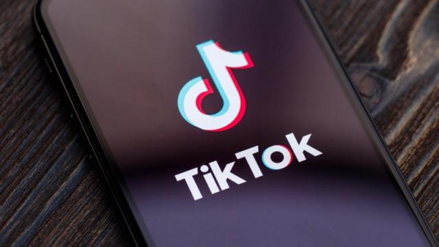 TikTok Mobile View