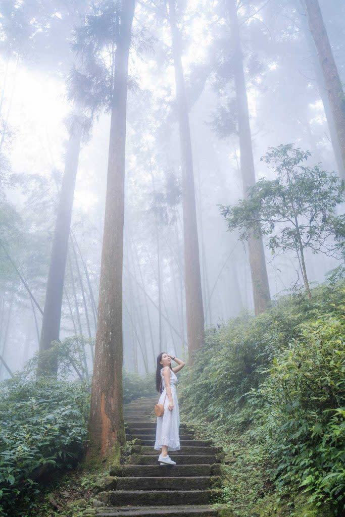 輕鬆好走不累的石棹步道群-雲之道。（記者張翔 翻攝）