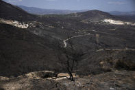 The blackened mountains, which had been burned in a mid-August wildfire, are seen at Dionysos northern suburb of Athens, Thursday, Aug. 22, 2024. (AP Photo/Thanassis Stavrakis)