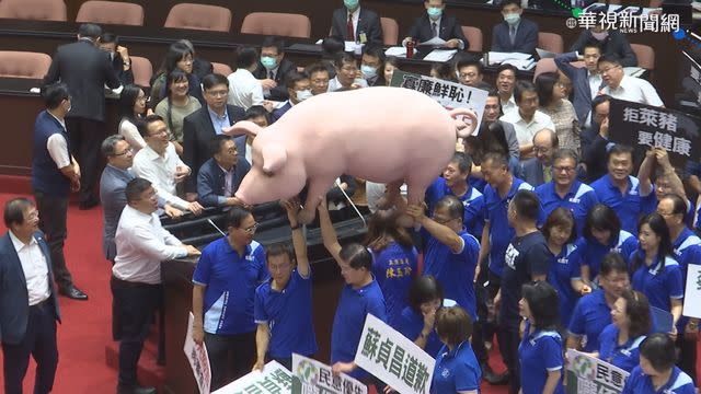 國民黨杯葛議會多次，道具豬也意外成亮點。(資料照片)