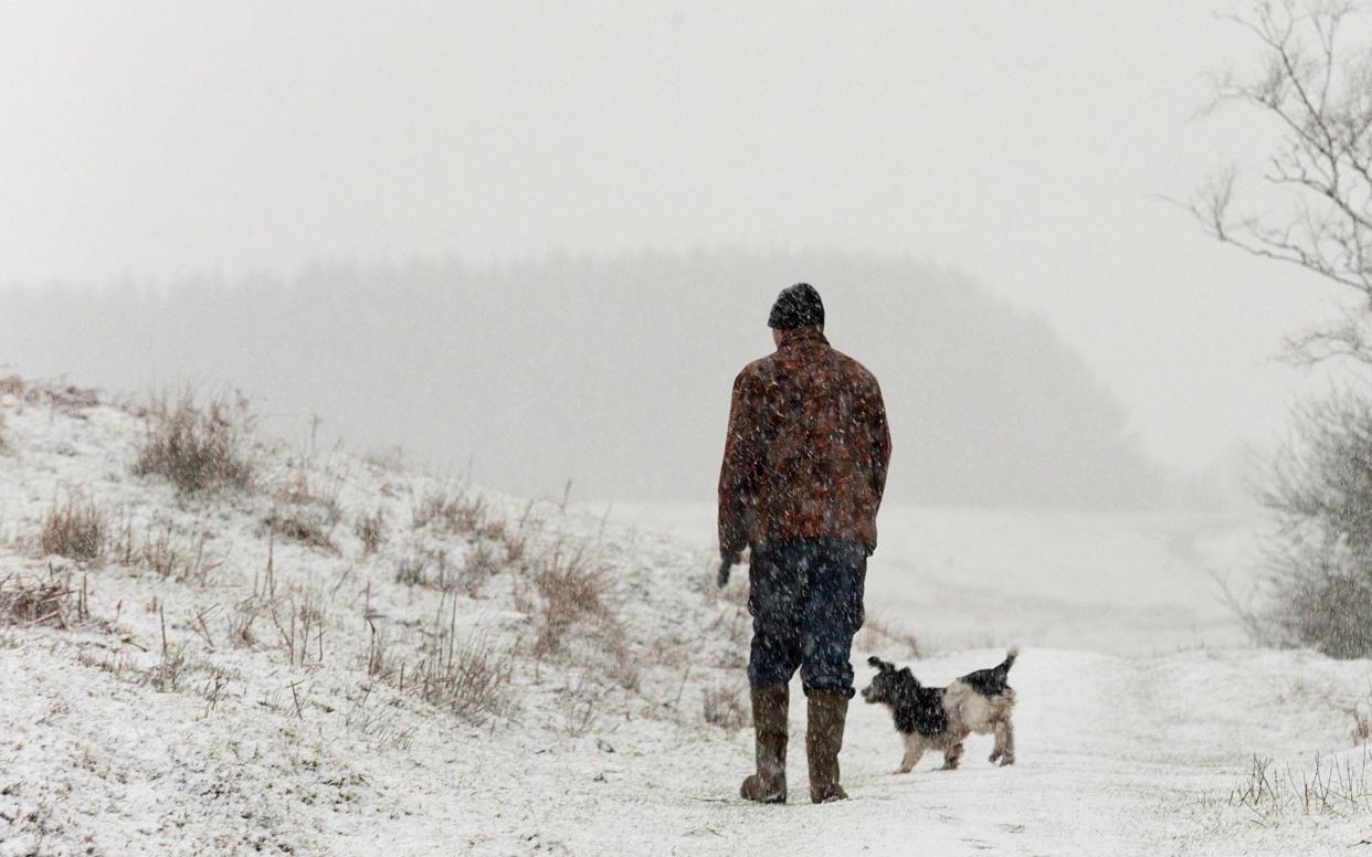 A man walks his dog in the freezing conditions in Powys, Wales - London News Pictures Ltd.