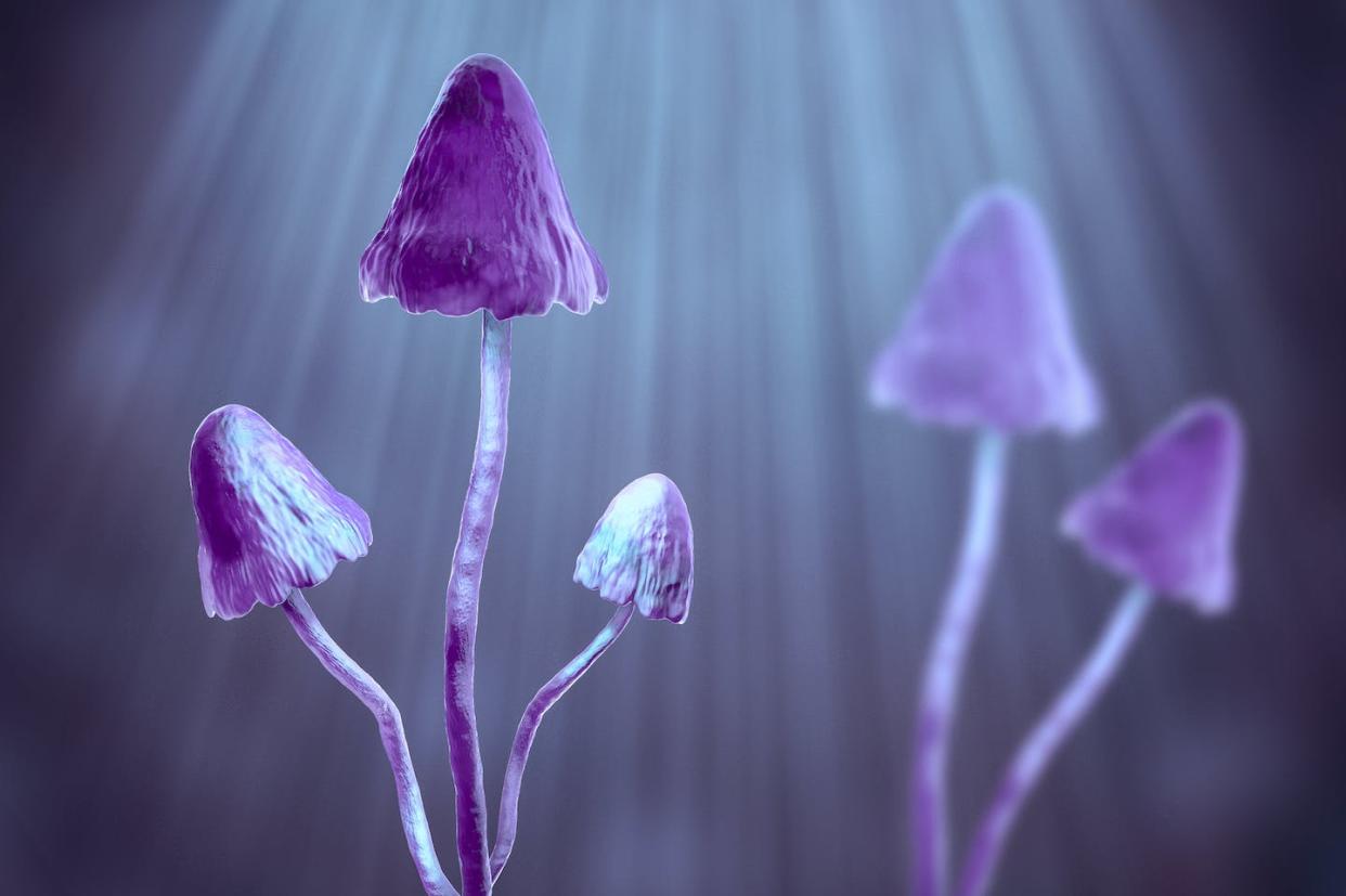 Psilocybin and other psychedelics could help patients process the challenges of a cancer diagnosis. <a href="https://www.gettyimages.com/detail/illustration/magic-mushrooms-illustration-royalty-free-illustration/1390280399" rel="nofollow noopener" target="_blank" data-ylk="slk:Kateryna Kon/Science Photo Library via Getty Images;elm:context_link;itc:0;sec:content-canvas" class="link ">Kateryna Kon/Science Photo Library via Getty Images</a>
