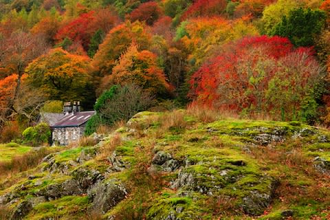 Autumn colours in the Lake District - Credit: Getty