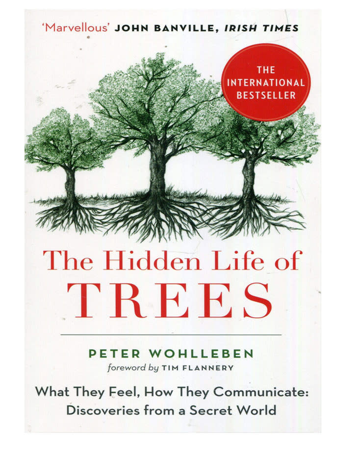 The cover of "The Hidden Life of Trees" by Peter Wohlleben.