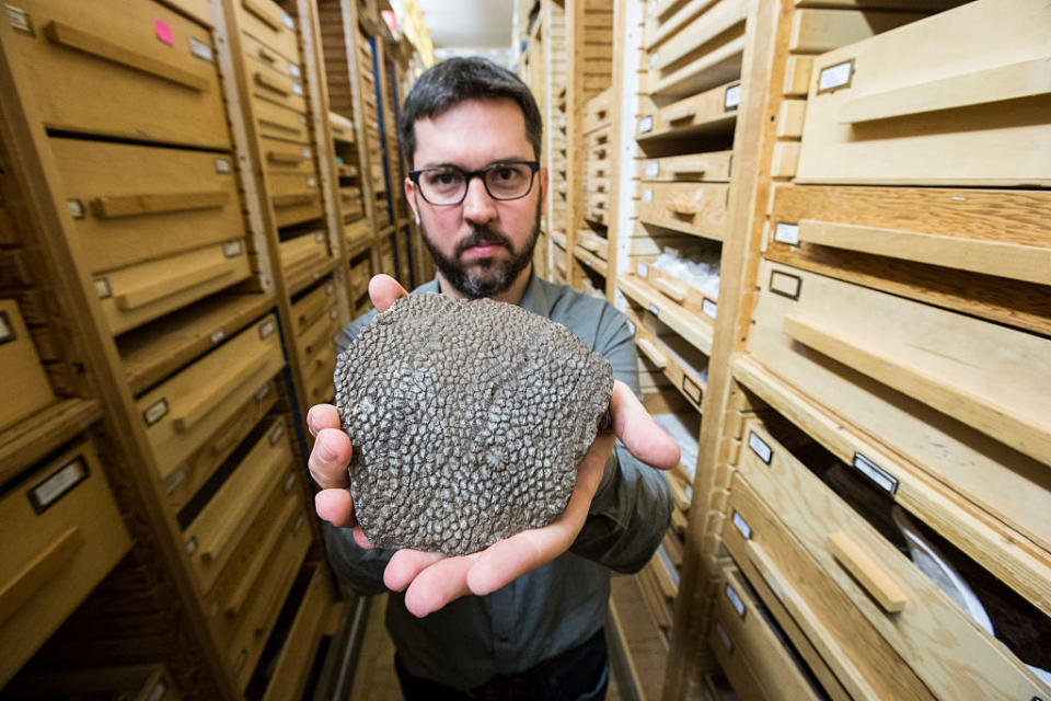 A man holding up a gray, flat block with a raised surface with crevices