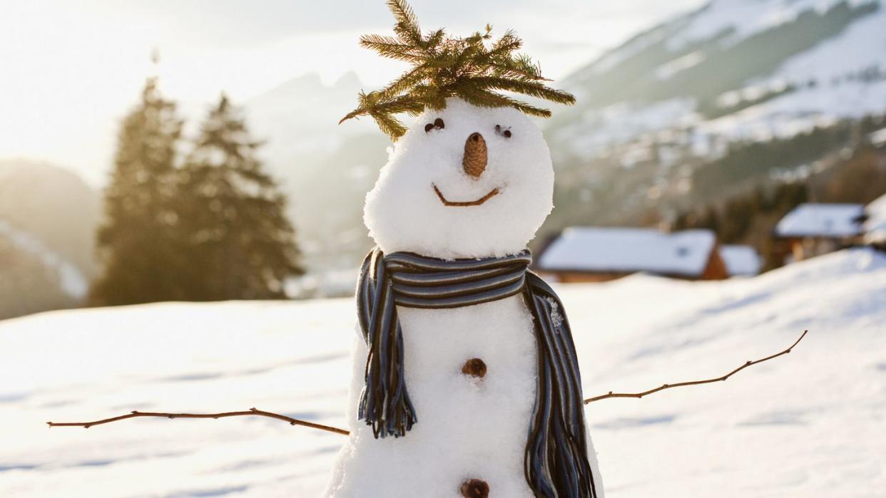 Snowman in snowy field