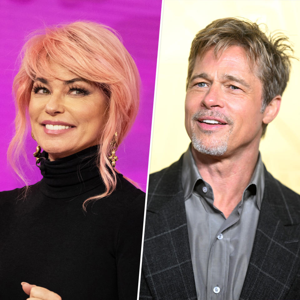 Shania Twain may sing about Brad Pitt, but the two have never met. (Nathan Congleton / Samir Hussein / Getty Images)