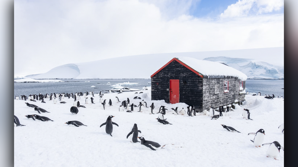 Penguins outnumber people in Port Lockroy.