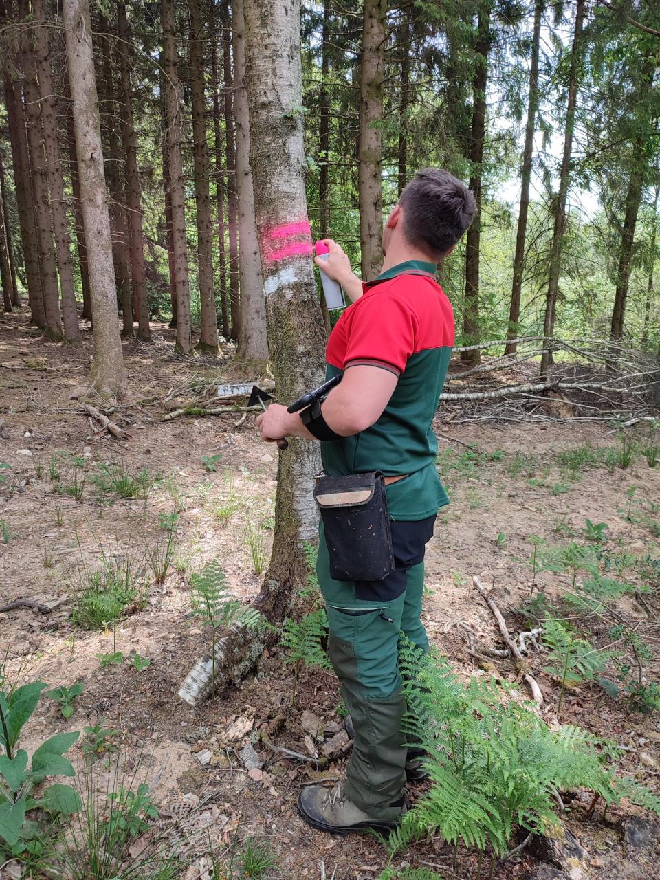 Un technicien territorial de l’ONF en Argonne porte l’équipement caractéristique en forêt : un pantalon déperlant avec guêtres intégrées (tout en évoluant bras nus, au cœur du printemps). Aude Dziebowski/UMR SAGE